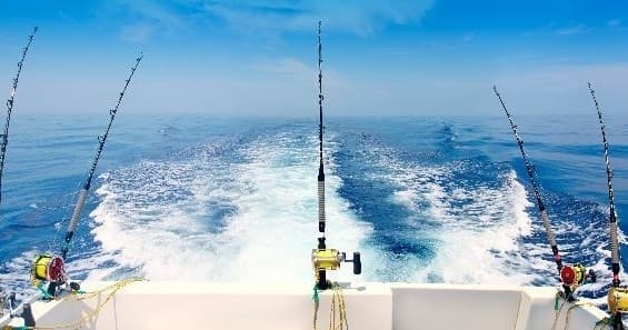 Offshore Fishing Adventure in Riviera Beach, Florida