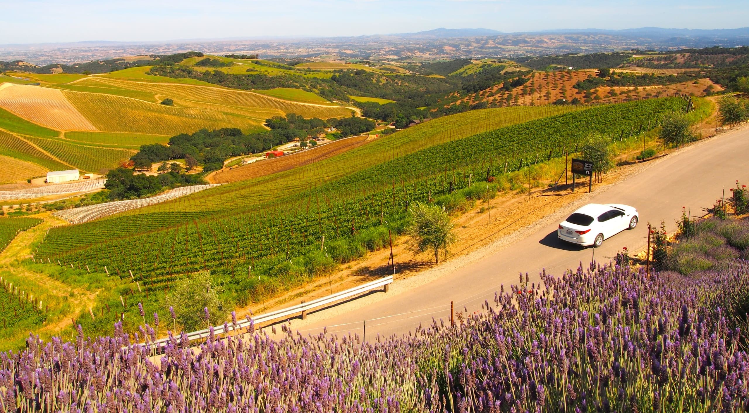 Paso Robles Wine Tours with Destination Drivers