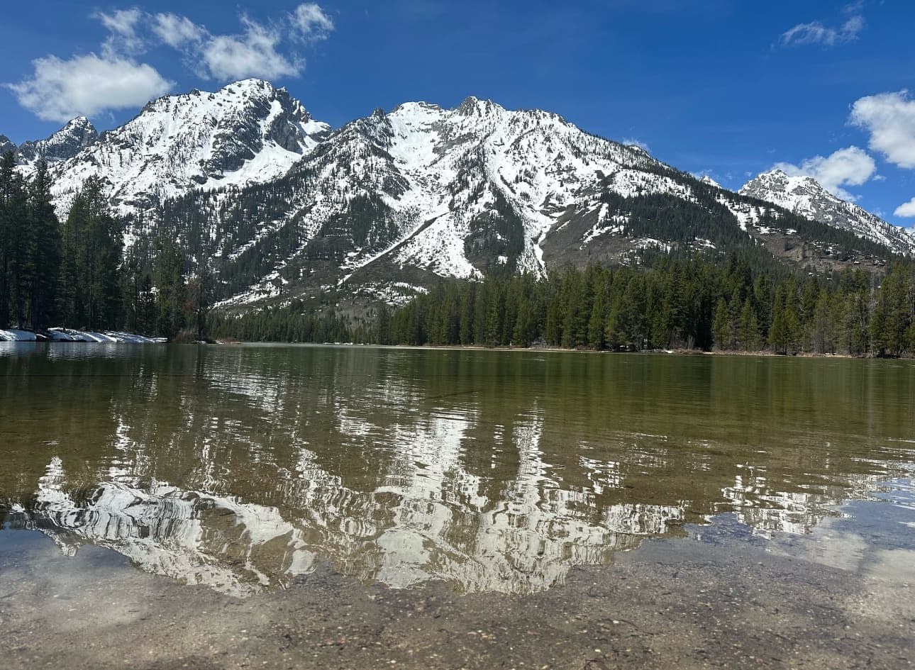 Private Grand Teton Scenic & Wildlife Tour — Custom Wildlife Viewing from Jackson photo 1
