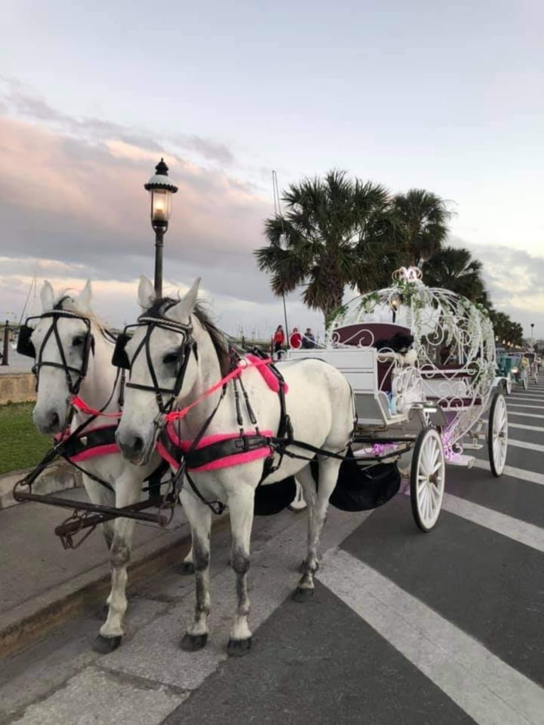 Private Cinderella Carriage Rides with Country Carriages in St. Augustine
