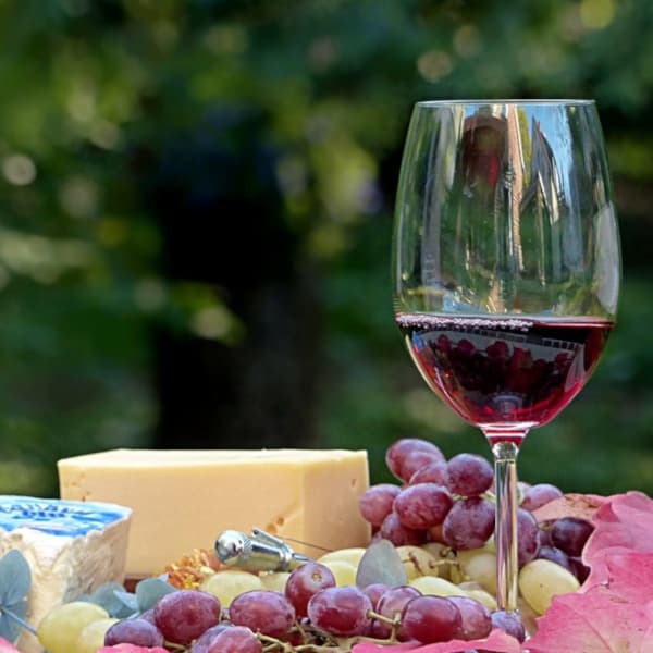 Wine glass with grapes and cheese on outdoor picnic blanket