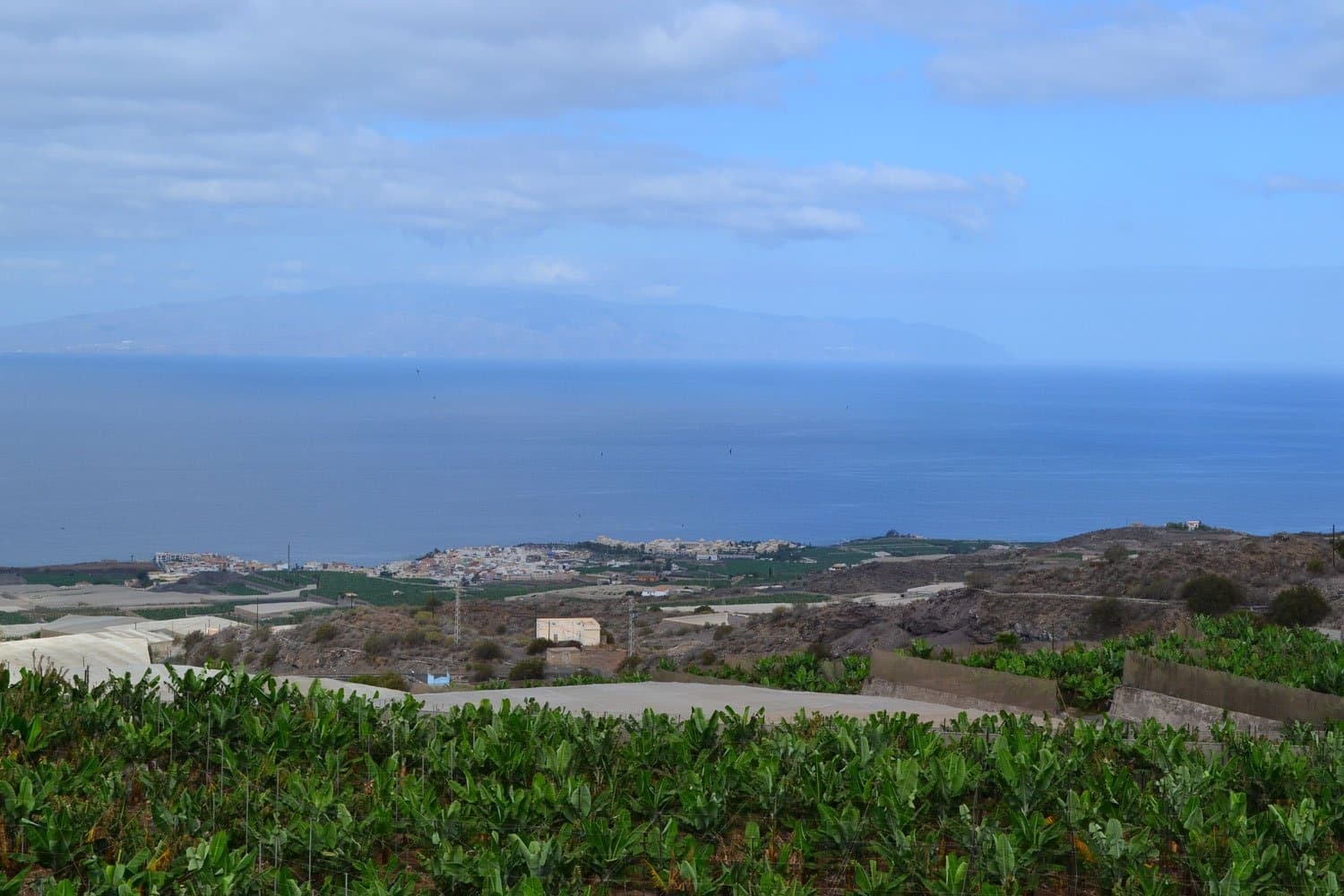 Sustainable Farm Tours with Serviagroc in Guía de Isora