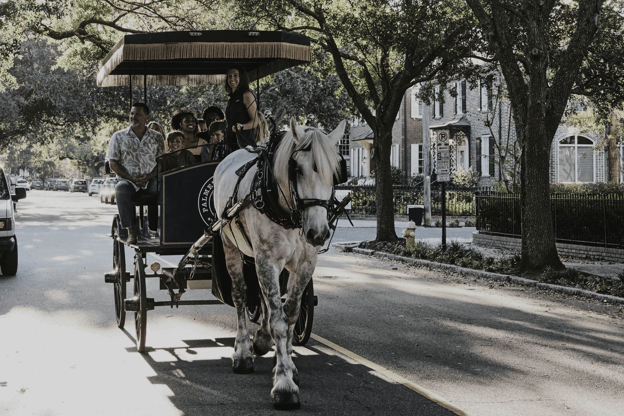 Palmetto Carriage Works fleet