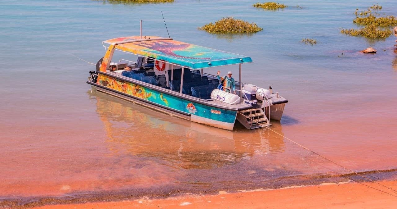 Roebuck Bay Dinosaur Footprints Cruise: Sparkling Wine & Gourmet Platters in Broome photo 4