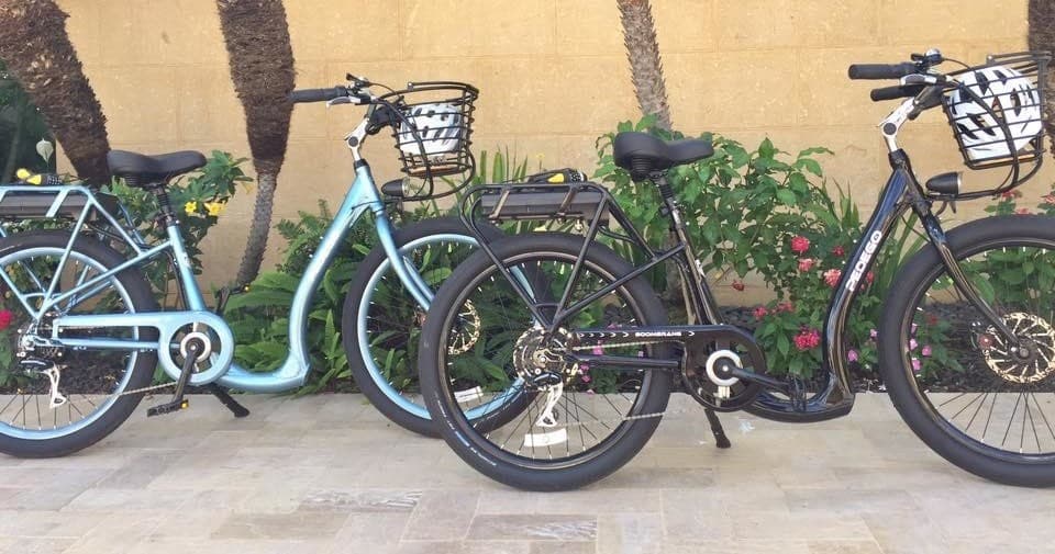 Multiple cruiser bicycles parked outdoors against stucco wall