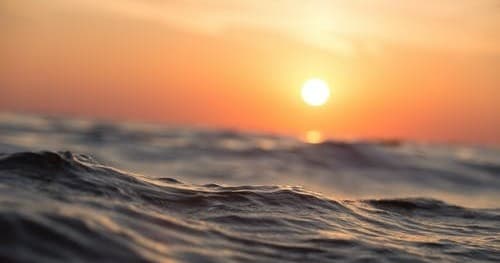Sunset Cruise | Boat Tour in Key West, Florida photo 1