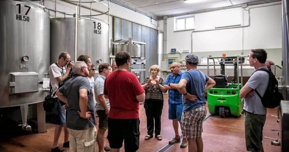 Organic Wine Experience with Tili Vini in Assisi