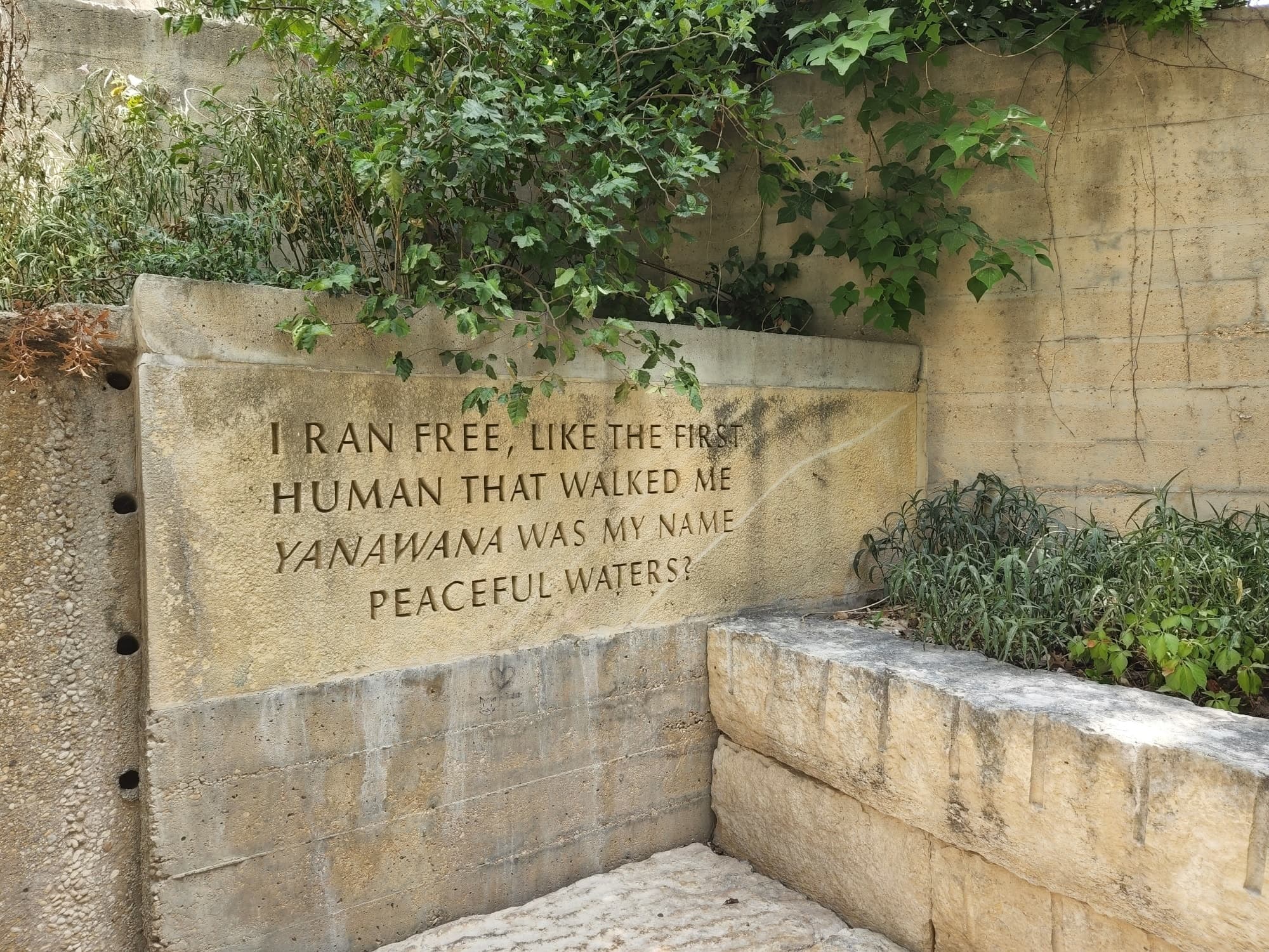 Historical Walking Tour with T’s Tours in San Antonio