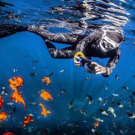 Catalina Scuba fleet