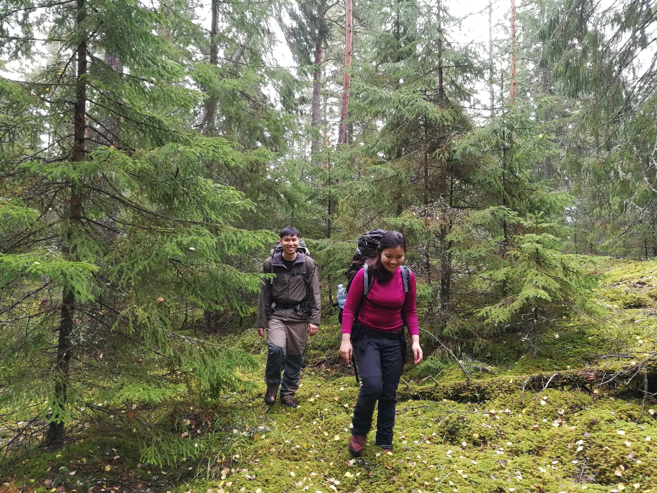 Small-Group Stockholm Nature Hiking with True Nature Sweden AB