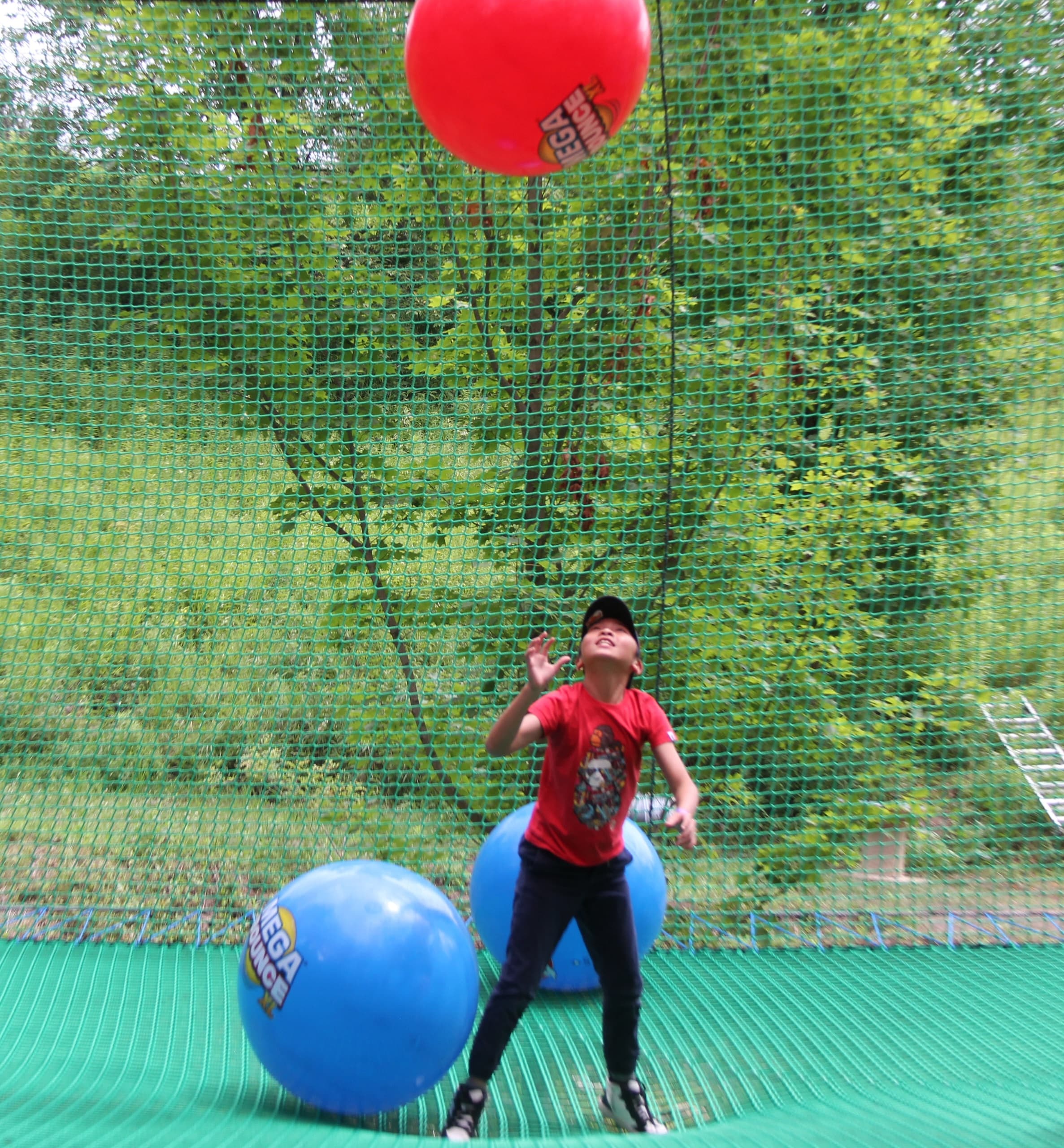 Aerial Adventures & Family Fun at TreeTop Eco-Adventures