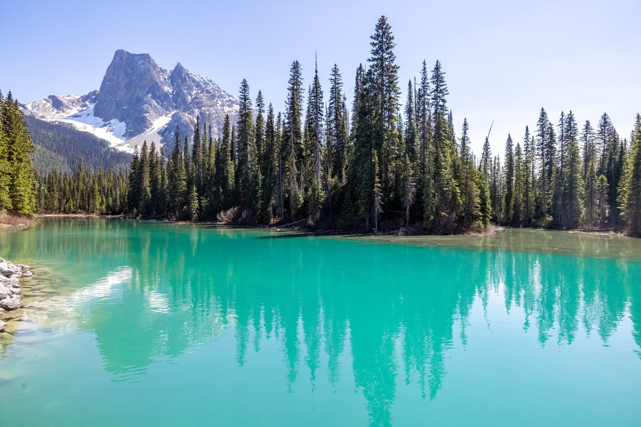 Turquoise alpine lake reflecting pine forest in Banff National Park