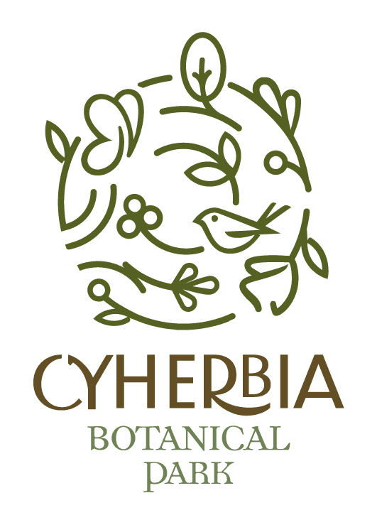 Family Apothecary Workshop at Cyherbia Botanical Park — Make Herbal Salves in Avgorou, Cyprus photo 1