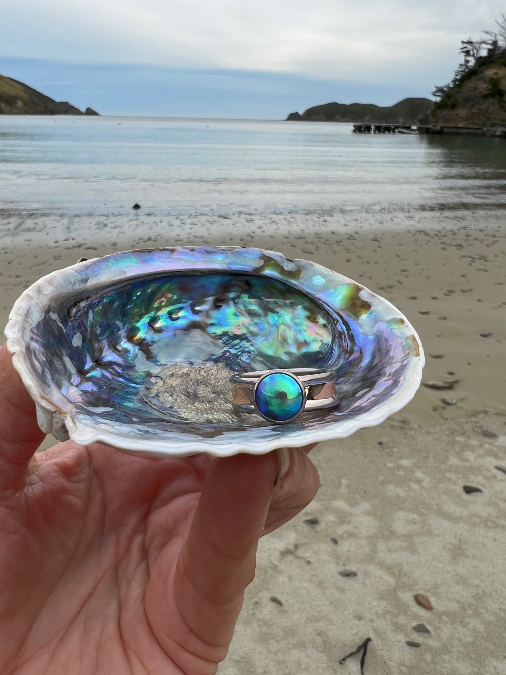 Marine & Cultural Adventure with Arapawa Pearl Tours in Marlborough Sounds