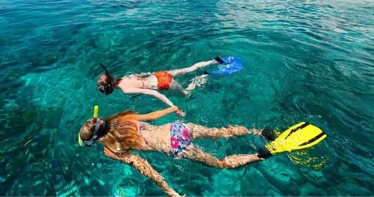 Private Snorkel Adventure in Stock Island, Florida