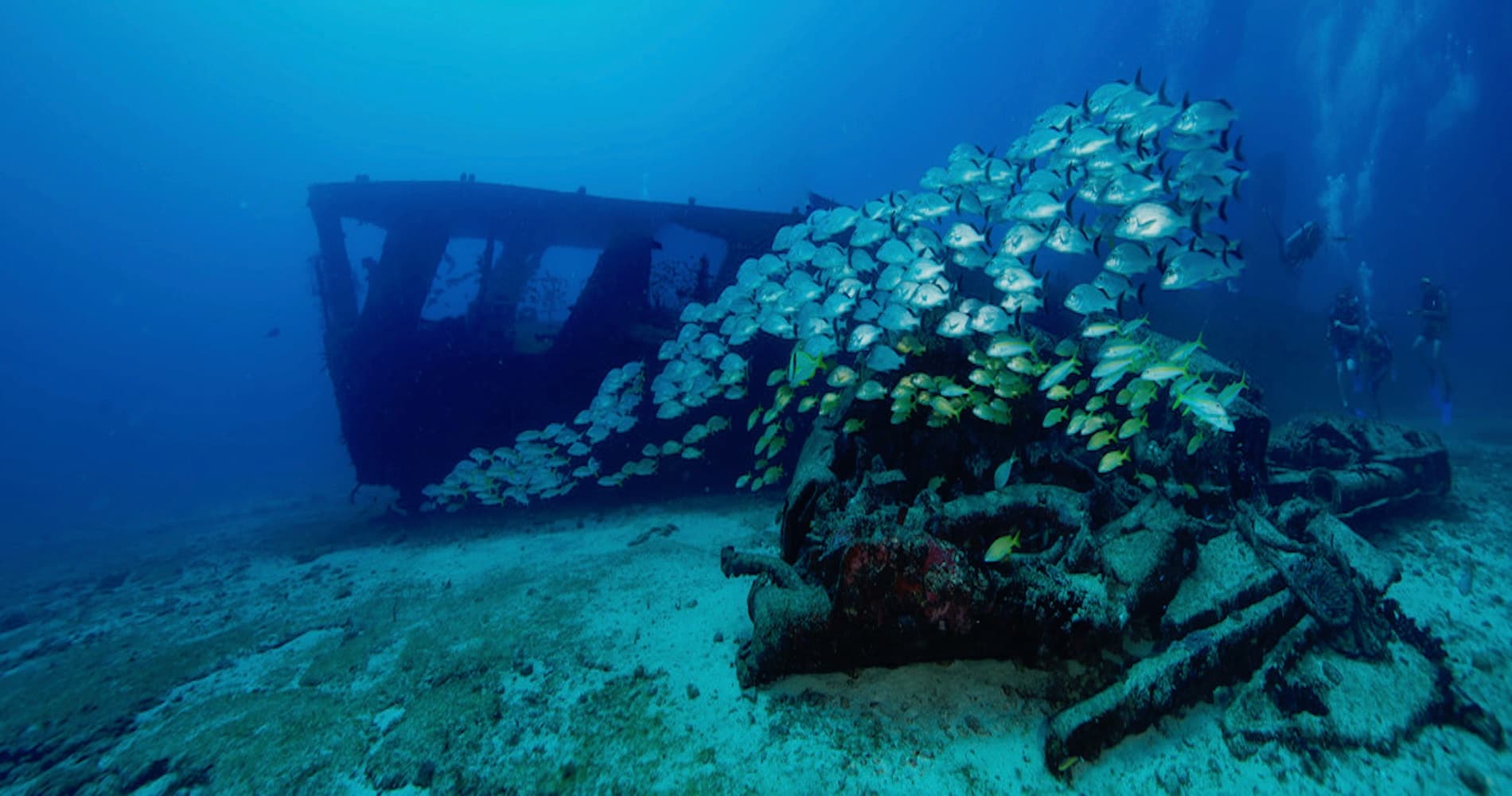Cancun Wreck & Reef Diving with Deep Life