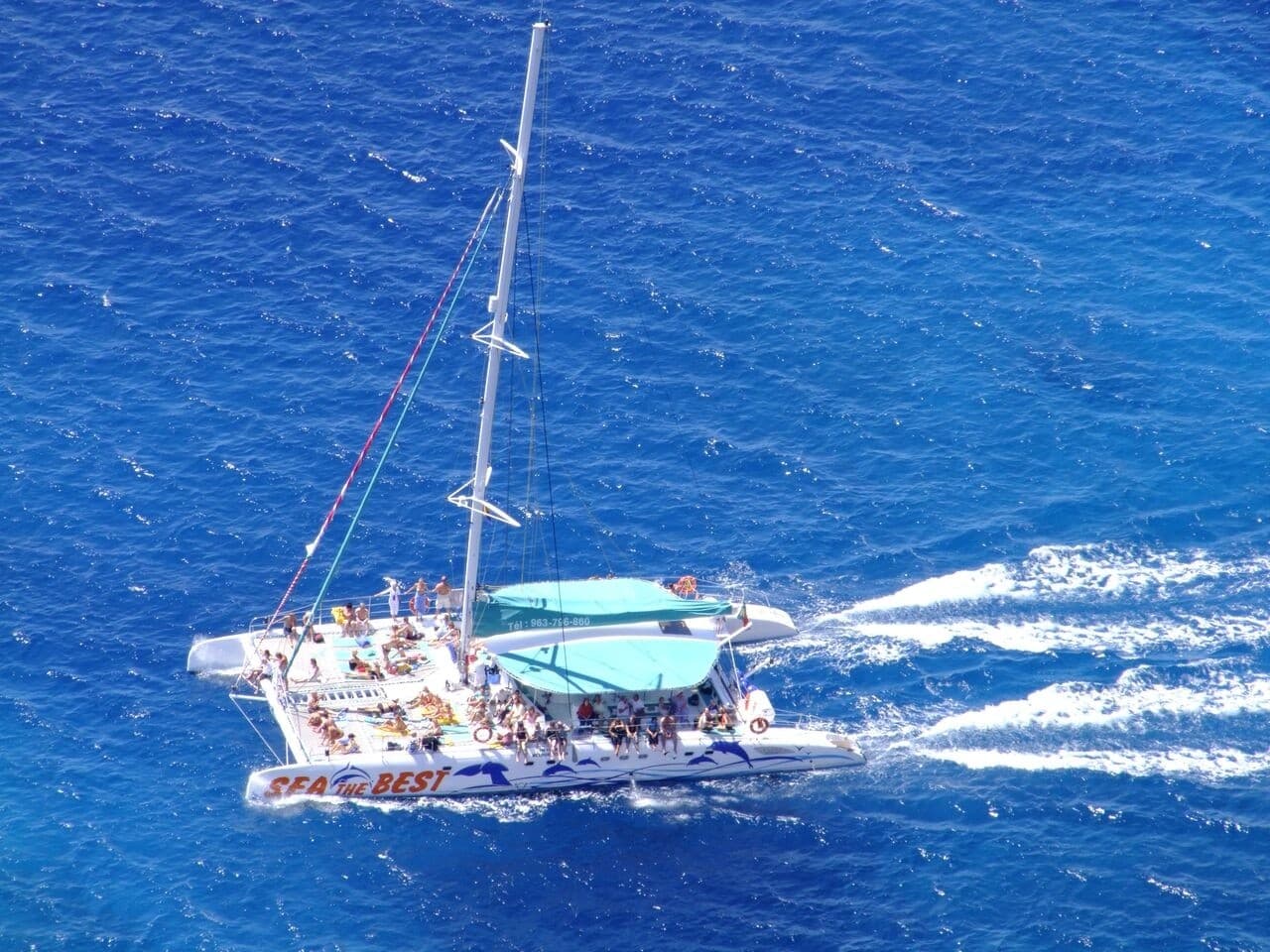Madeira Day in Motion: 4x4 Vineyards, Cabo Girão & Dolphin Catamaran
