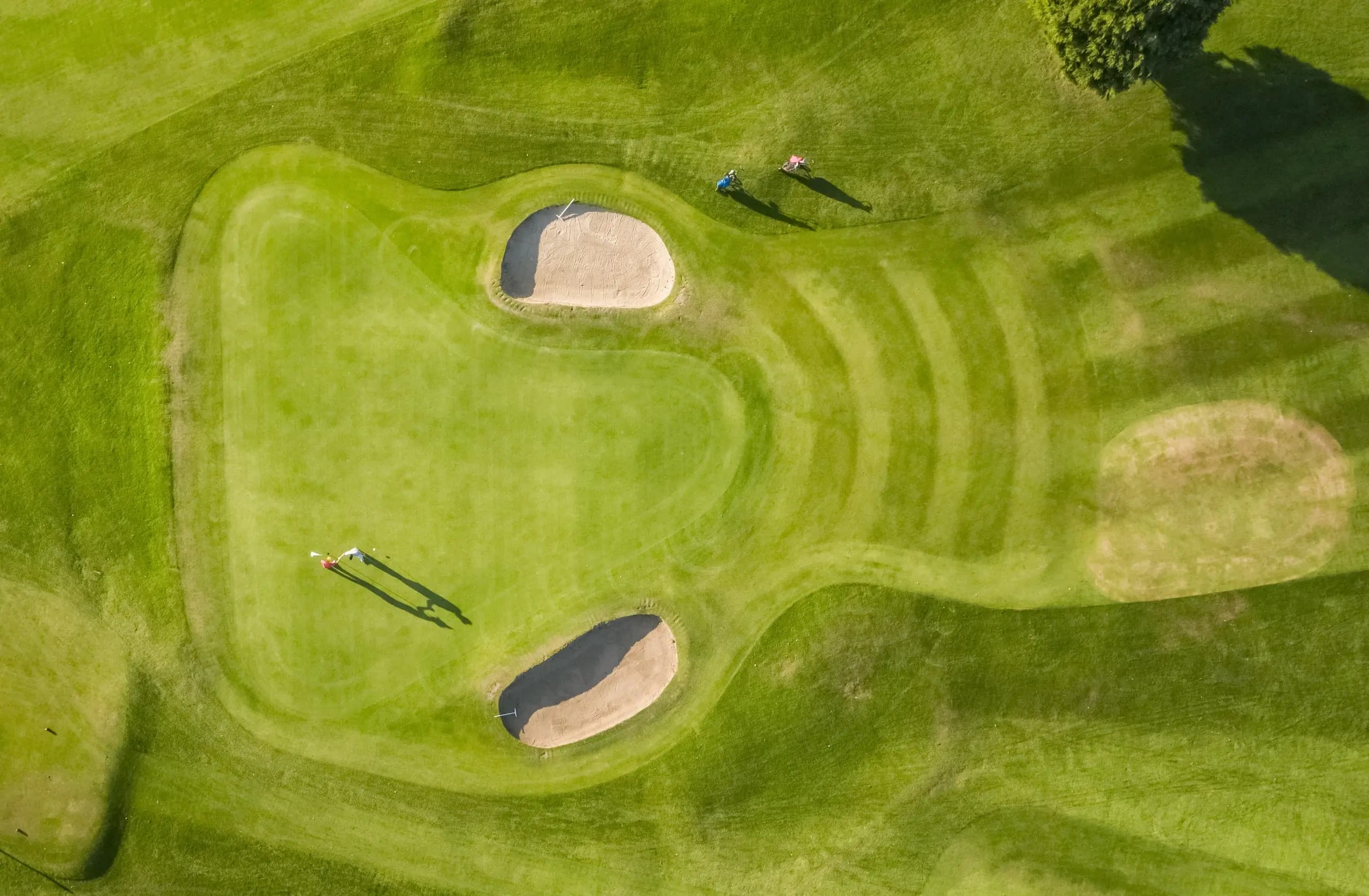Private Golf Course Tour in Edinburgh's Legendary Courses