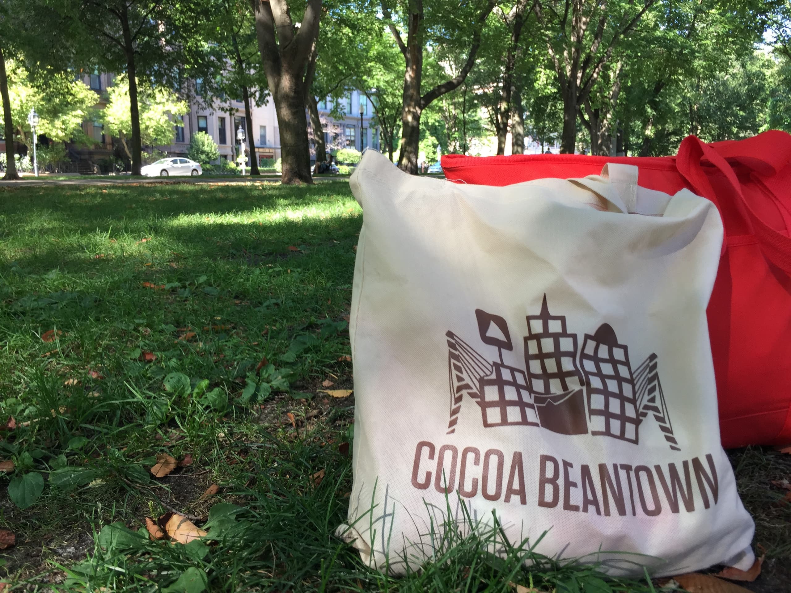 Cocoa Beantown tote bag in Boston park on outdoor tour