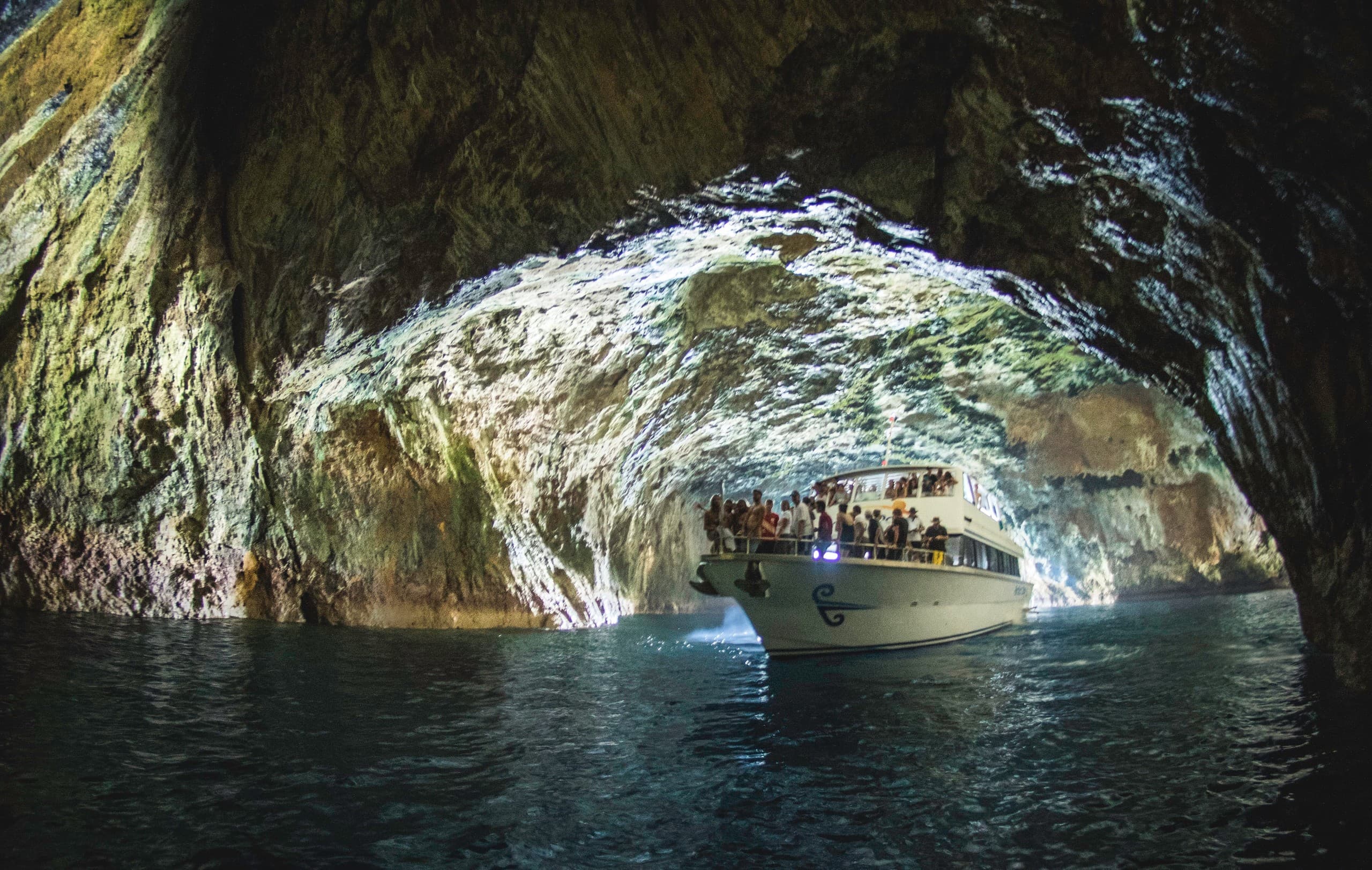 Private 8-Hour Tutukaka Charters to Poor Knights, Twin Wrecks & Sea Caves photo 2