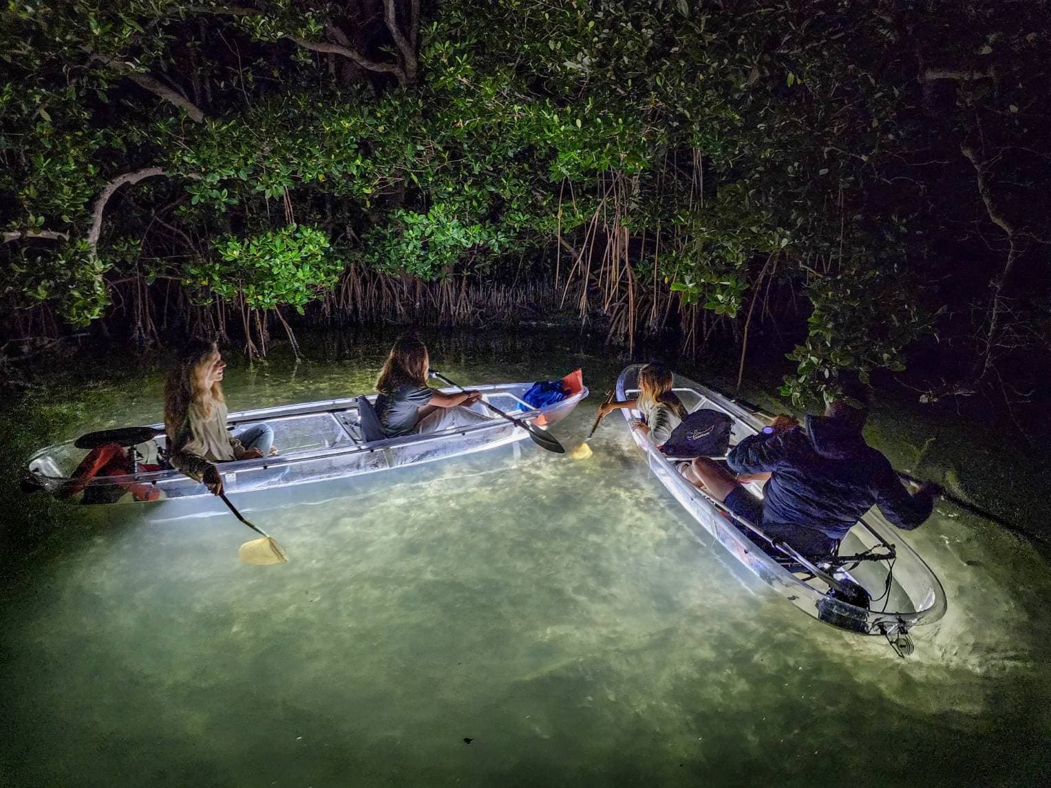 Night Kayaking with Fun Florida Tours in Siesta Key