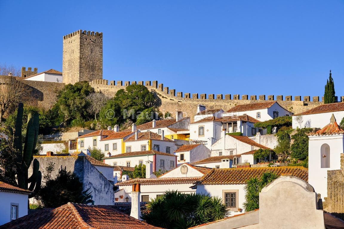 History & Culture Tour of Obidos & Batalha Monastery