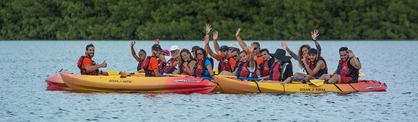 Large group kayaking together across calm coastal waters