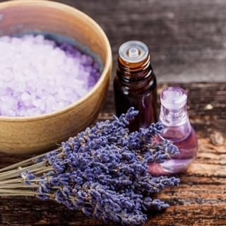 Lavender Bliss Workshop & Baby Animal Cuddles in Dresher