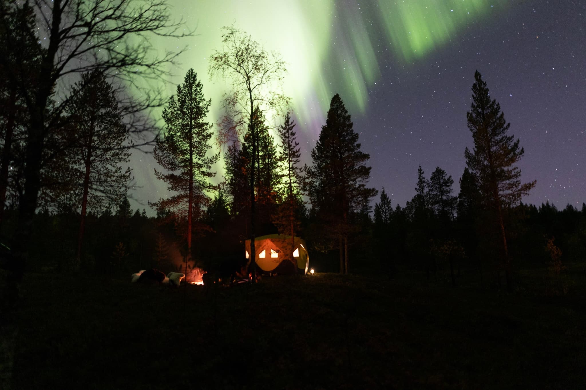 Winter Wildlife & Aurora Adventure at Aurora Village