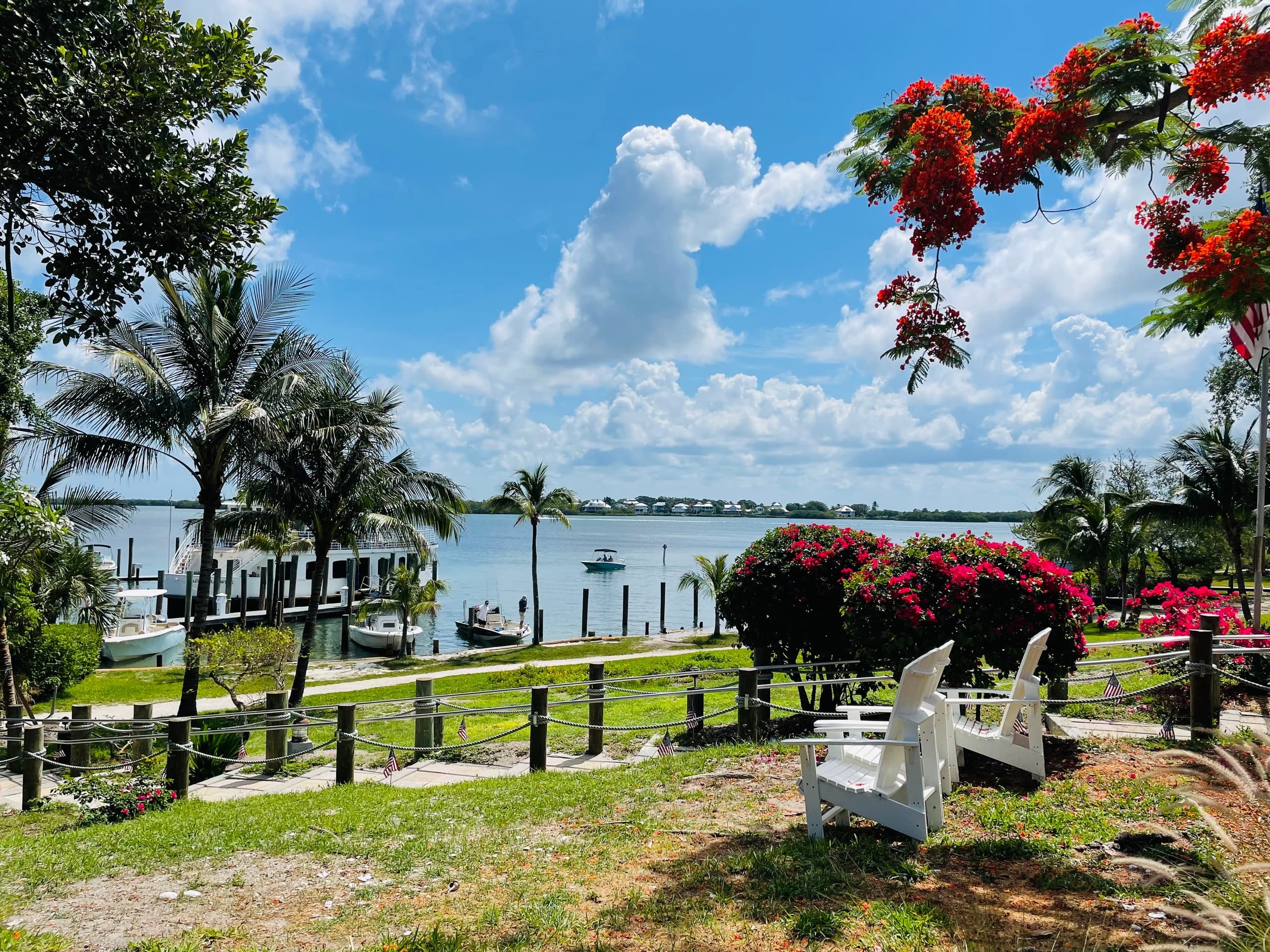 Scenic waterfront with palm trees and chairs overlooking bay