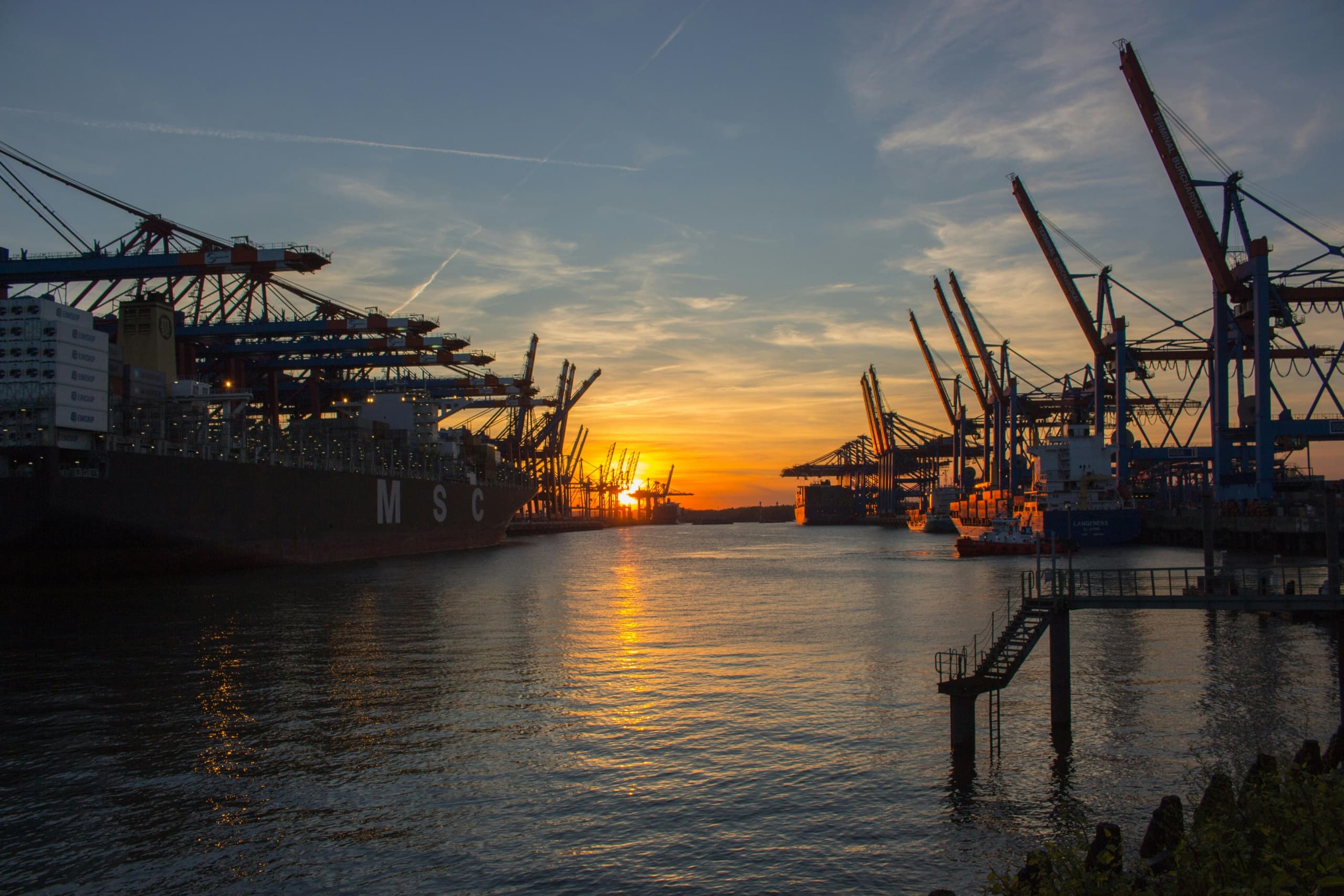 Savannah Dolphin Encounter: 90-Minute Private Port Tours from the Waterfront