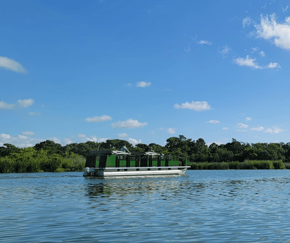 Mini Pontoon Cruise on Armand Bayou Wildlife Waters