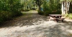 Camp Site 45 at Montana Creek Campground, Alaska