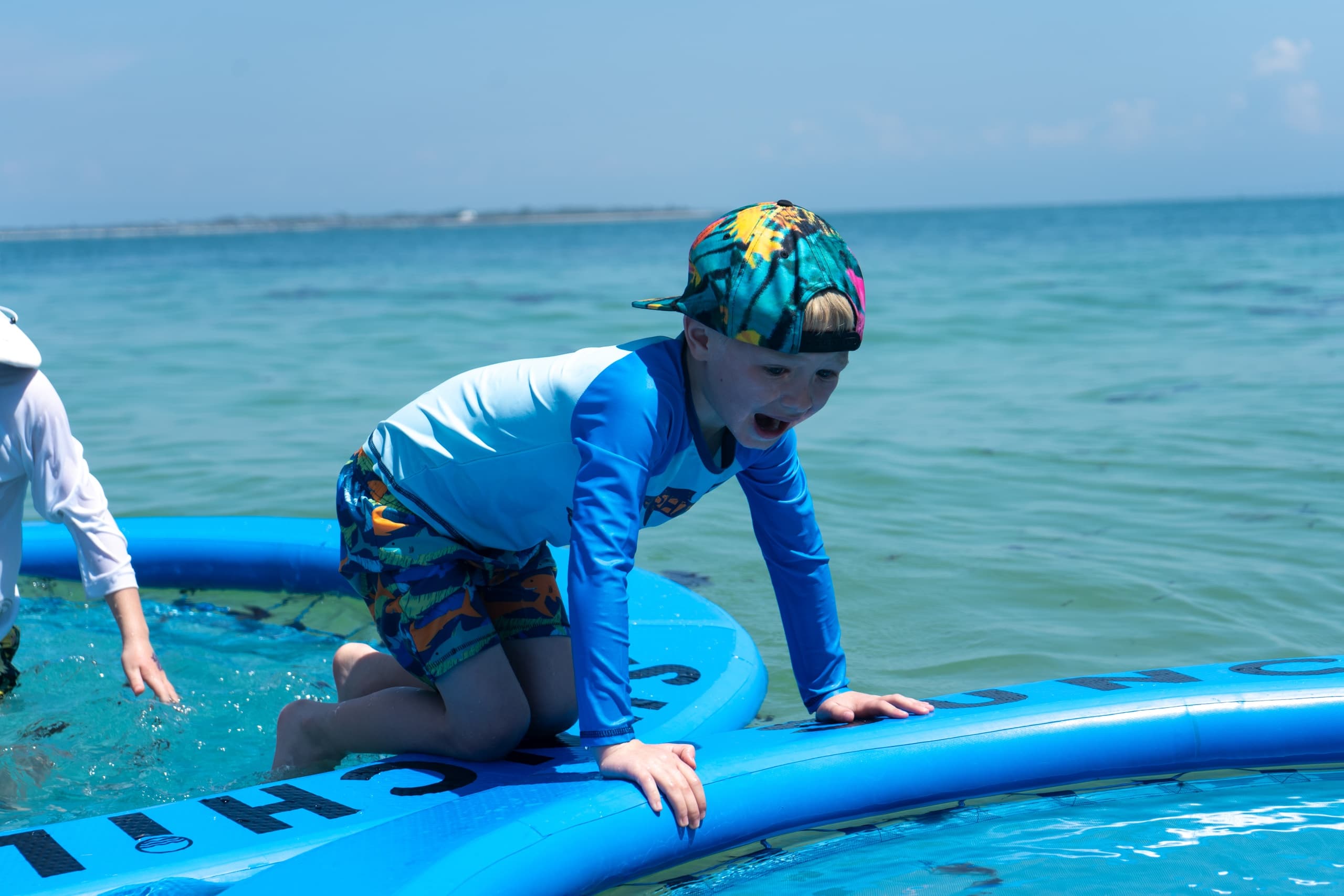 Shell Key Dolphin Float Party: SkyBeach Cruise to Shell Key and Dolphin Watching photo 4