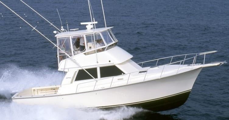 Evening Striped Bass Charter: Sunset Fishing Trips From Belmar, NJ photo 1