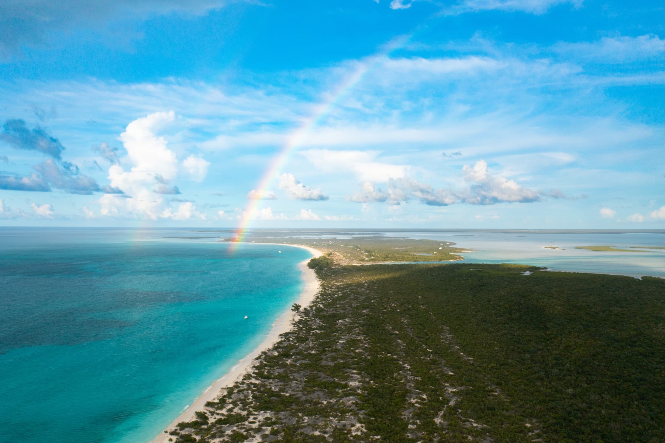 Explore West Caicos: A Full-Day Adventure to History and Shipwrecks