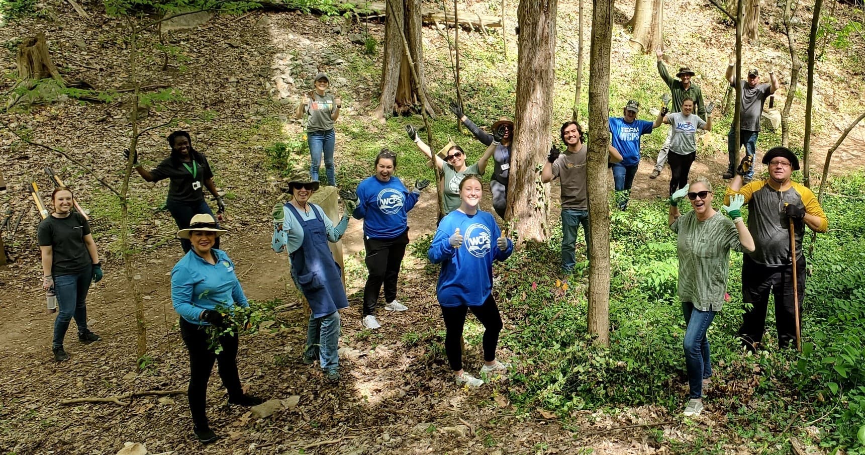 Volunteer Invasive Plant Initiative in Bowling Green, KY
