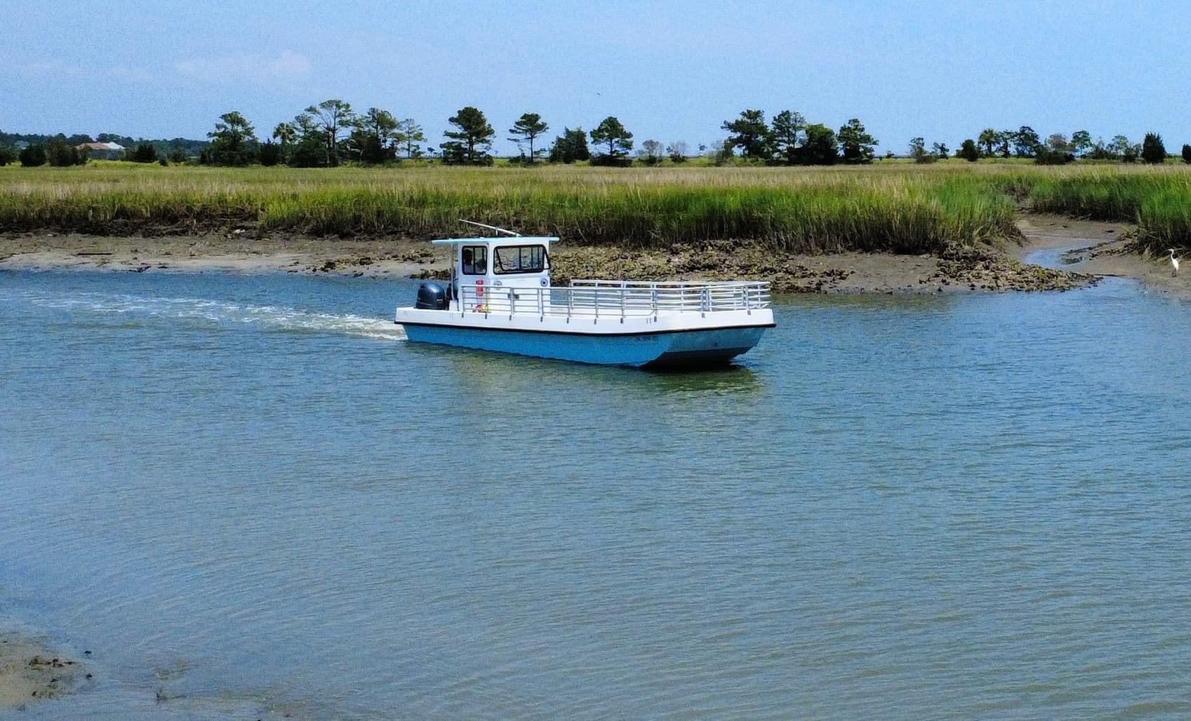 Backwater Eco Tour with Shem Creek Ecotours in Mount Pleasant