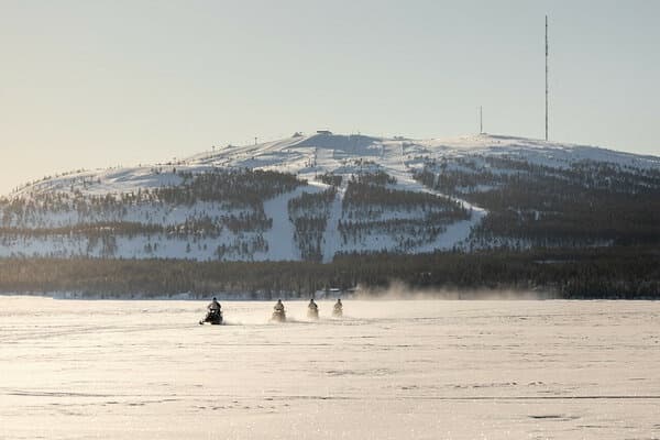 Winter Wildlife & Scenic Snowmobiling with eSled Nature Safari