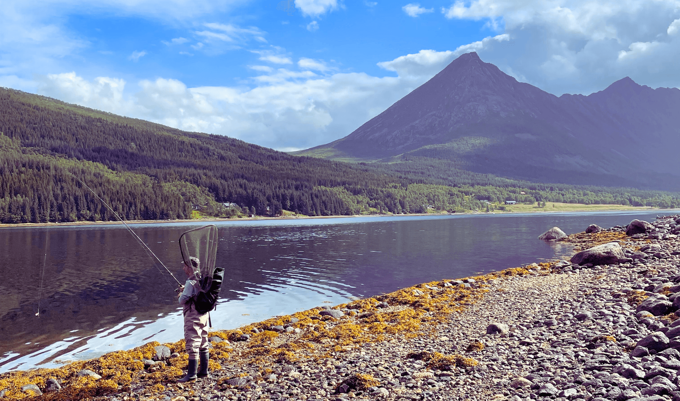Arctic Fishing & Fire-Cooked Meals with Hooked on Lofoten photo 1