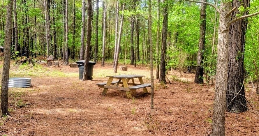 Riverside Camping at Wooded Campsite #3 — Kayaks, Pontoon Rides & Sunset S'mores in Longs SC