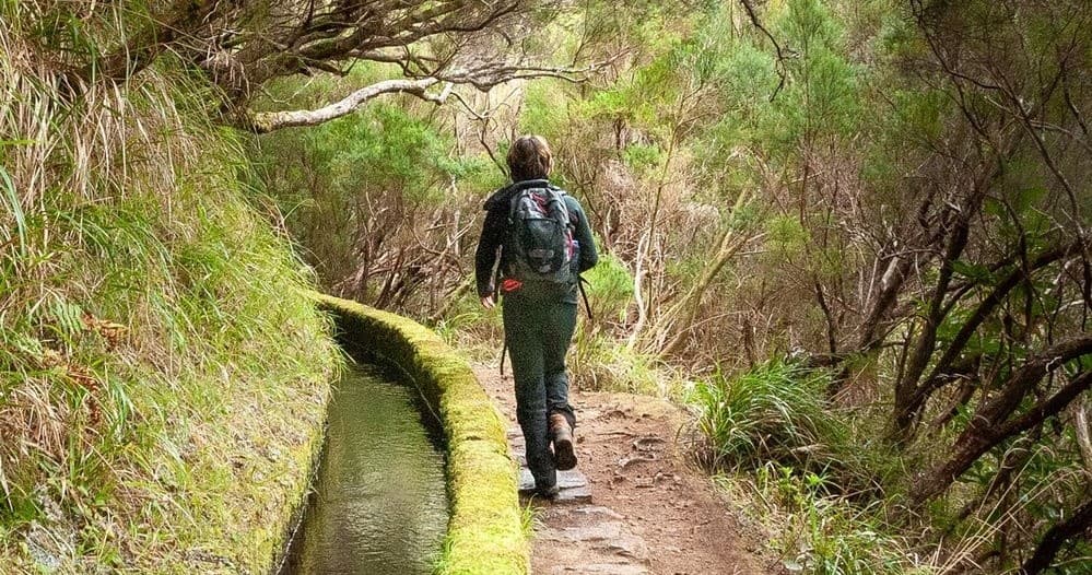 Hiker walking along levada trail through lush Madeira forest path