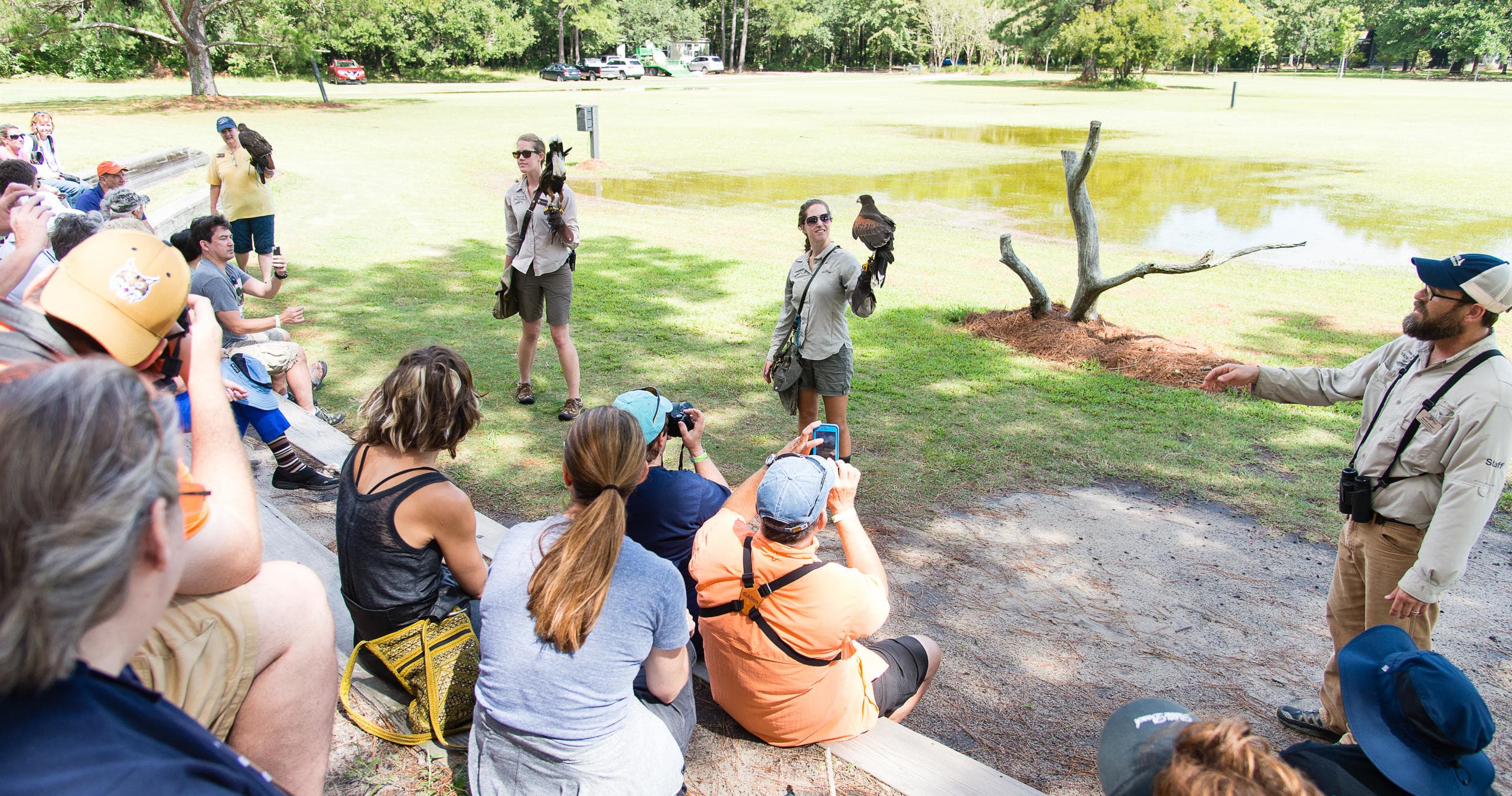 Bird Watching & Flight Shows at Charleston’s Birds of Prey Center