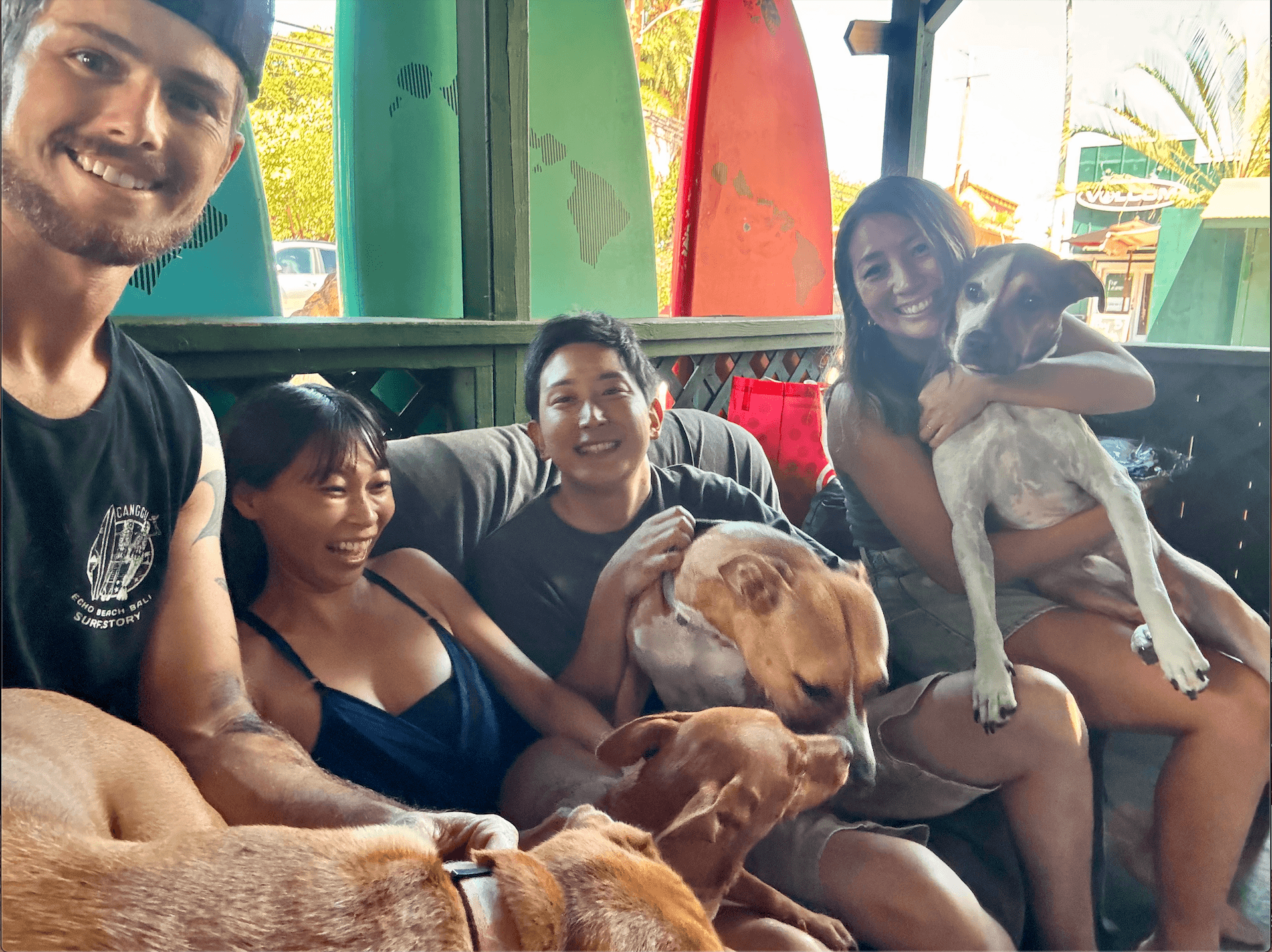 Paddle with Rescue Dogs on Oahu’s Anahulu River — SUP & North Shore Sweets Morning photo 1