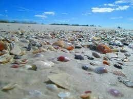 Paddle Shell Key with Mad Beach Paddlesports