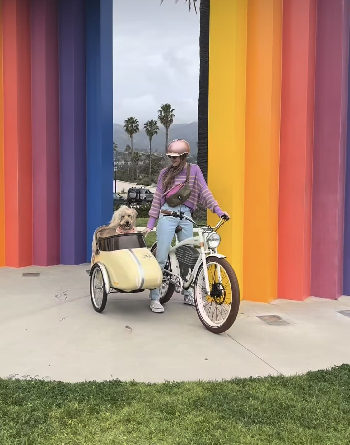 Montecito Coastline Electric Bike Tour in Santa Barbara