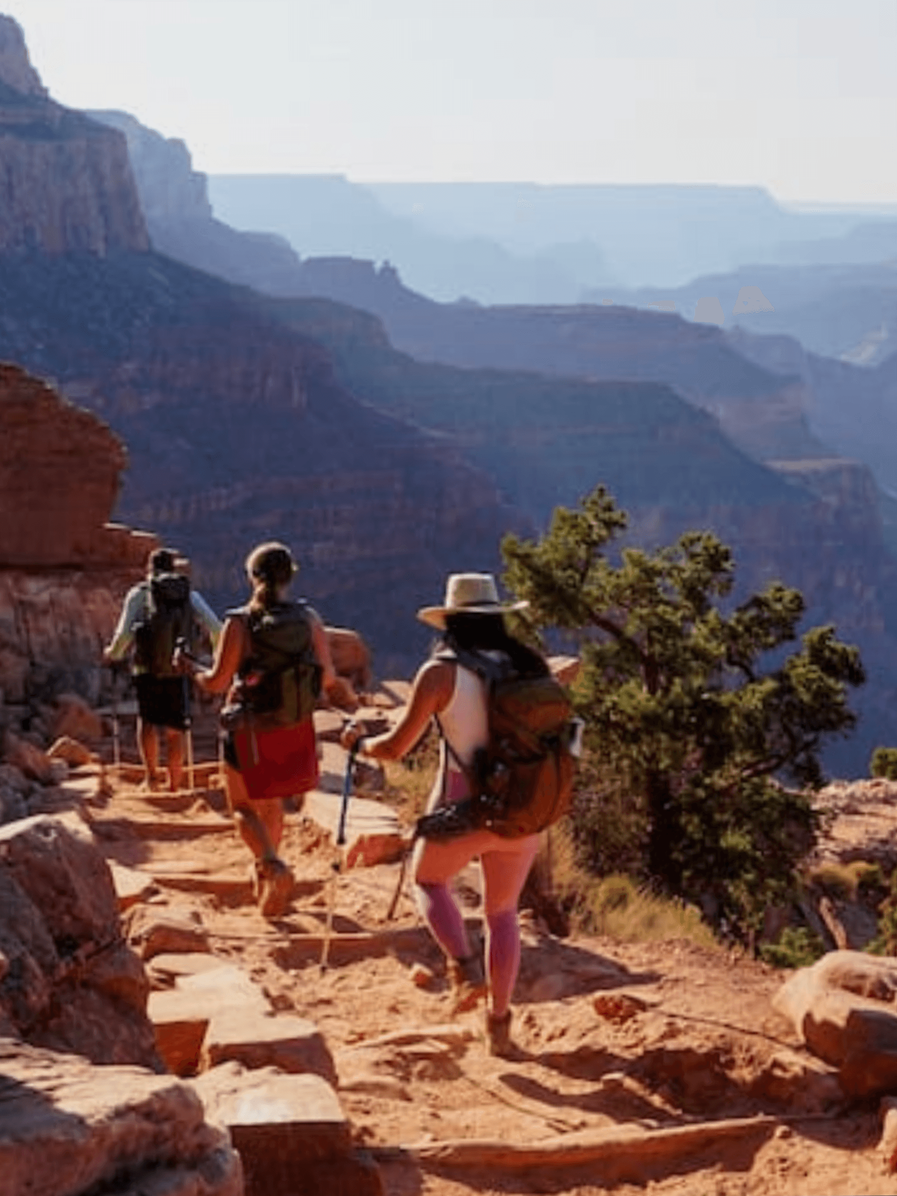Group hikers descending canyon trail at Grand Canyon, desert hike
