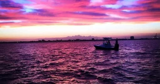 Water Activities & Little Darlin Fishing Charters LLC: Charleston Harbor Adventure