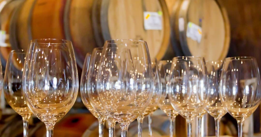 Gold Wine Experience by Farm Experiences & Tours in Portugal