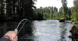 First-person view of casting into a forested Alaskan river trip